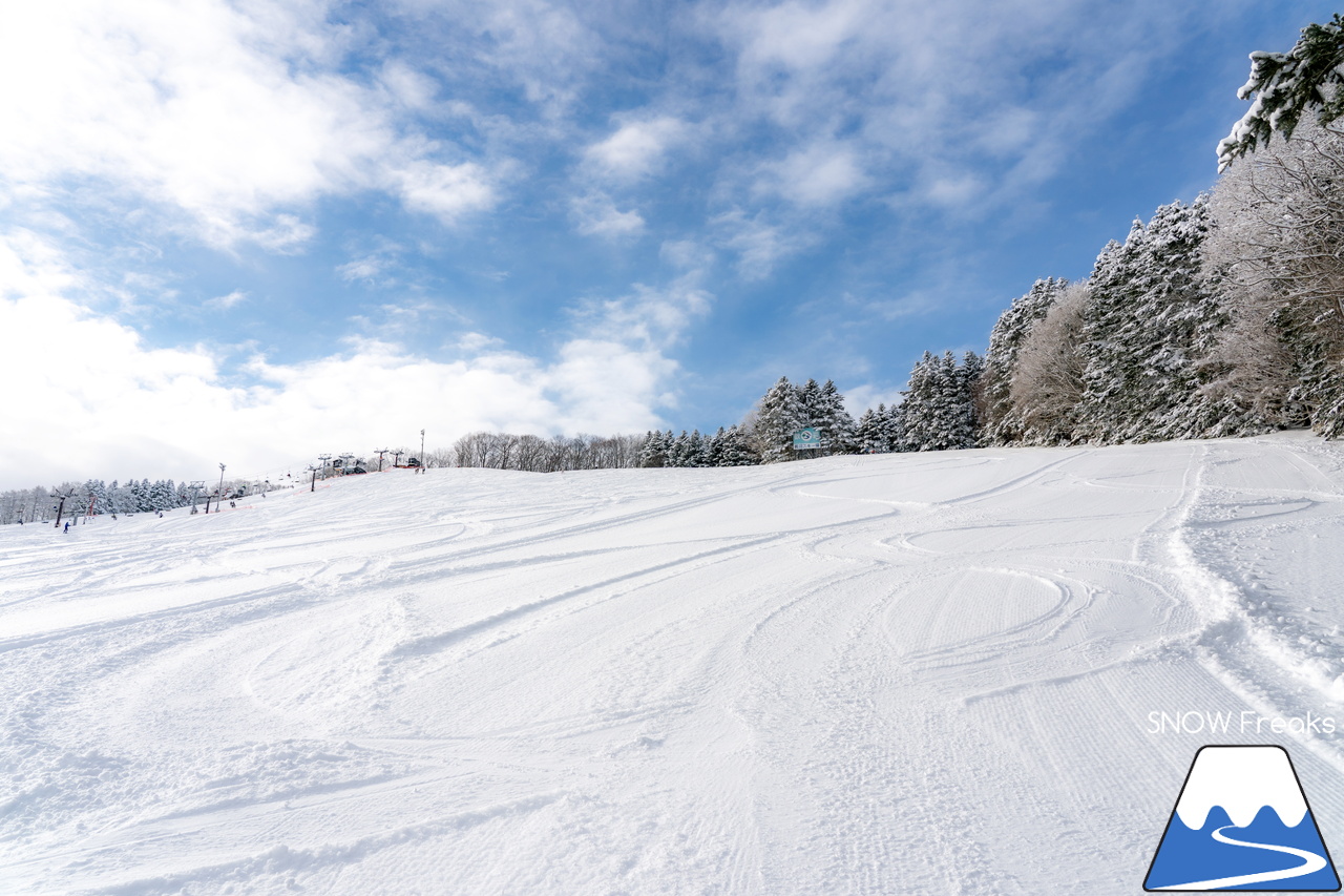 北長沼スキー場｜晴天＋粉雪＝最高！素晴らしいコンディションで、2月がスタート(^^)/